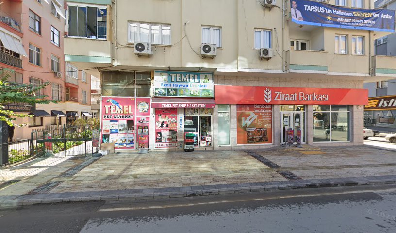 Temel Akvaryum Petshop