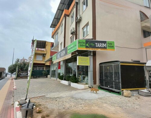 Anıt Cafe