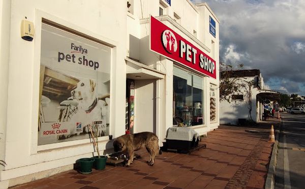 Farilya Petshop