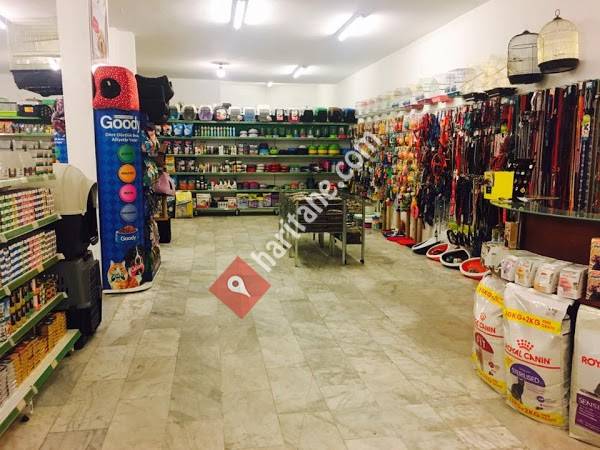 Turgutreis Petshop