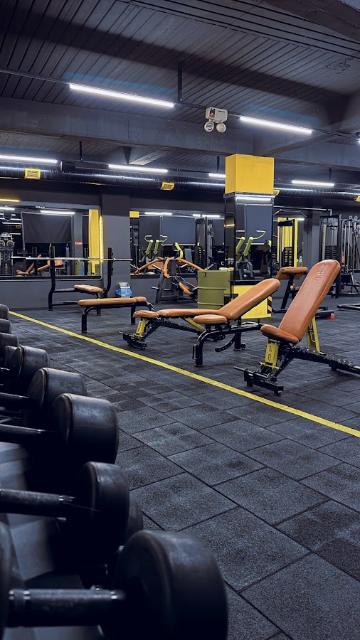 Fit Club X-Large