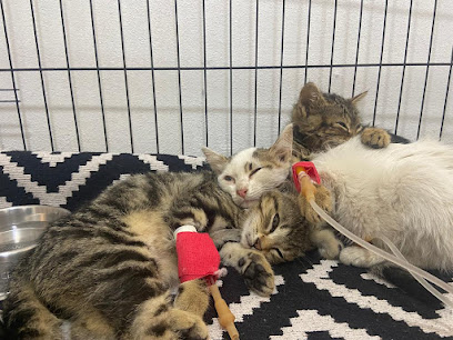 Petika Veteriner Kliniği