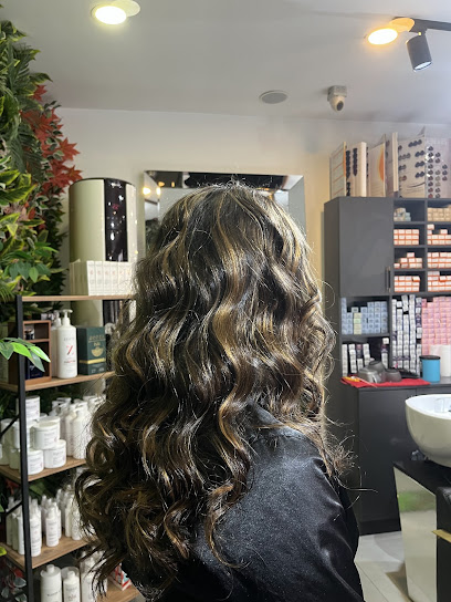 Saloon Trend HD