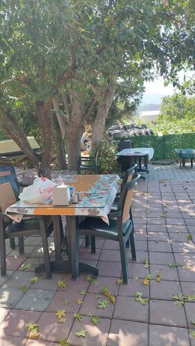 Eylül Pide Pizza Salonu