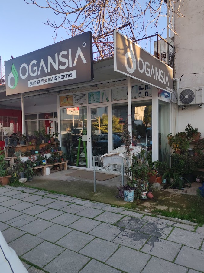 Terzi Nurdan Ogansia