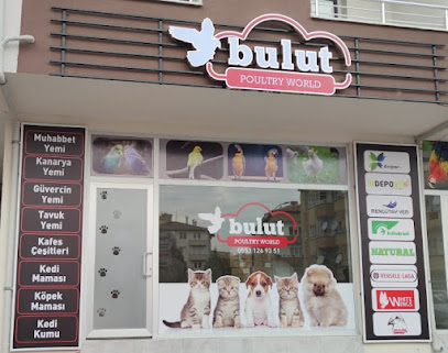 Bulut Mama