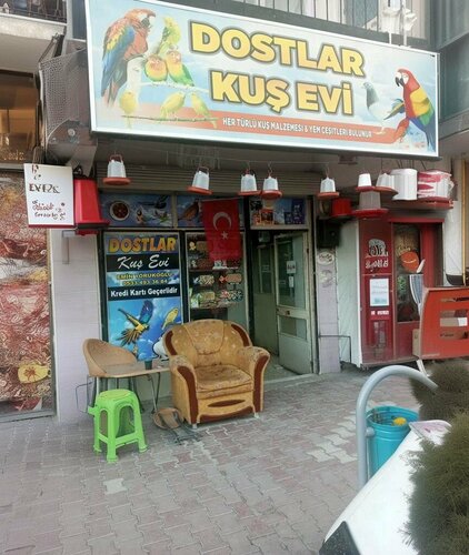 Dostlar Kuş Evi