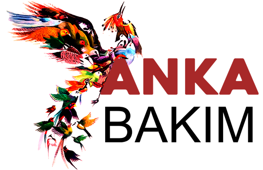 Anka Hasta Bakım Hizmetleri