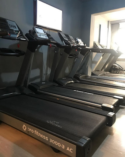 Elit gym fitness Aybasti