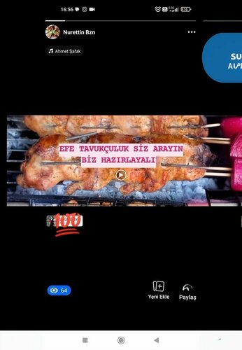 Kadirli Efe Tavukçuluk