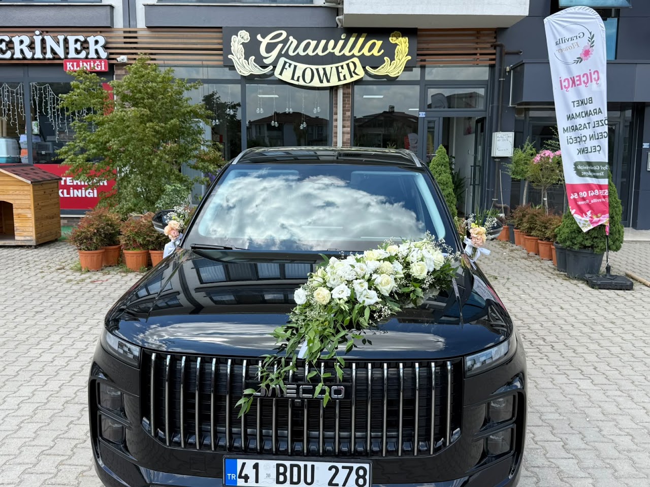 Çiçekçi Gravilla Flower