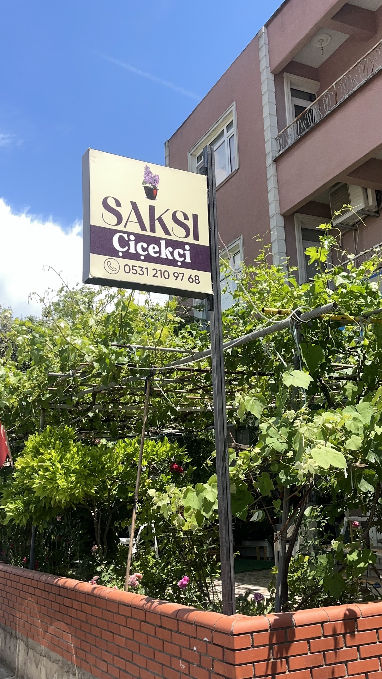 Saksı Geyve