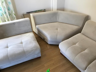 Sapanca Koltuk Yıkama