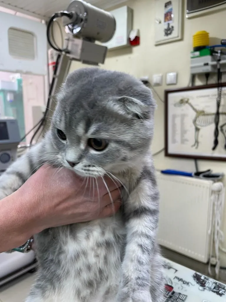 Atakent Veteriner Kliniği