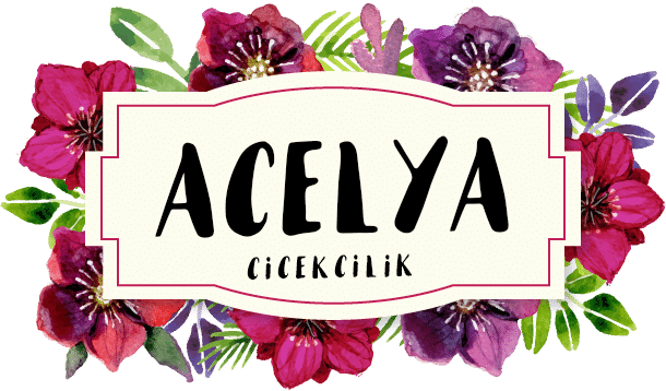 Açelya Çiçek Galeri