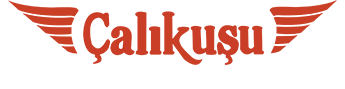Samsun Çalıkuşu Döner