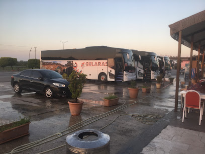 Sezginler Halı Yıkama