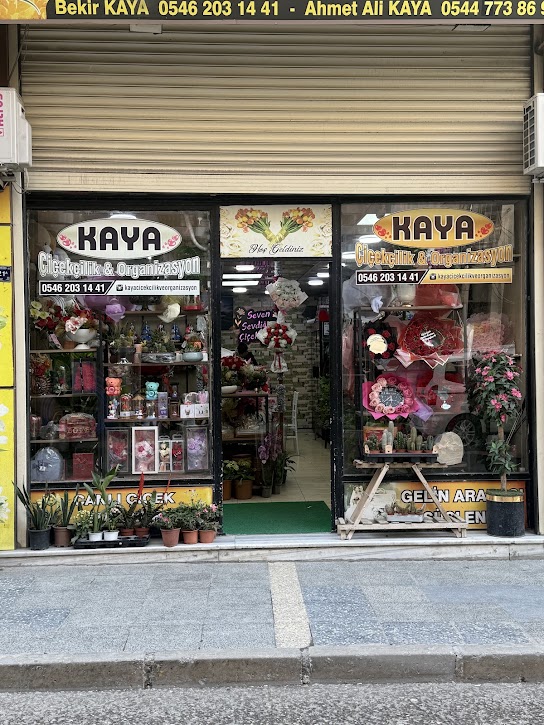Kaya çiçekçilik ve organizasyon