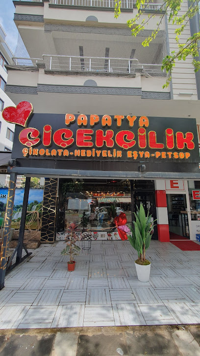 Papatya Çiçekçilik Ve Çikolat