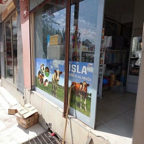 Kışla Veteriner Kliniği