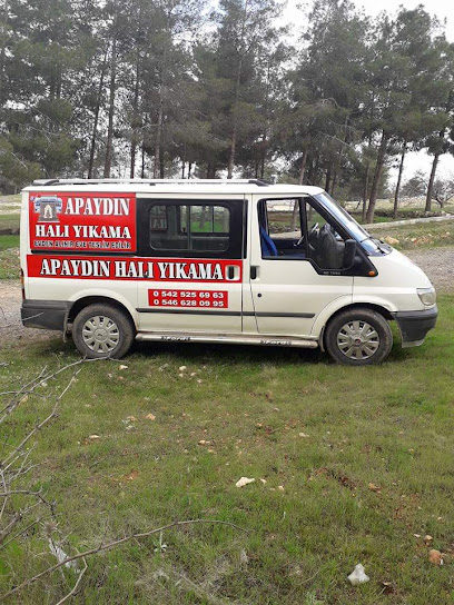 APAYDIN HALI YIKAMA FABRİKASI