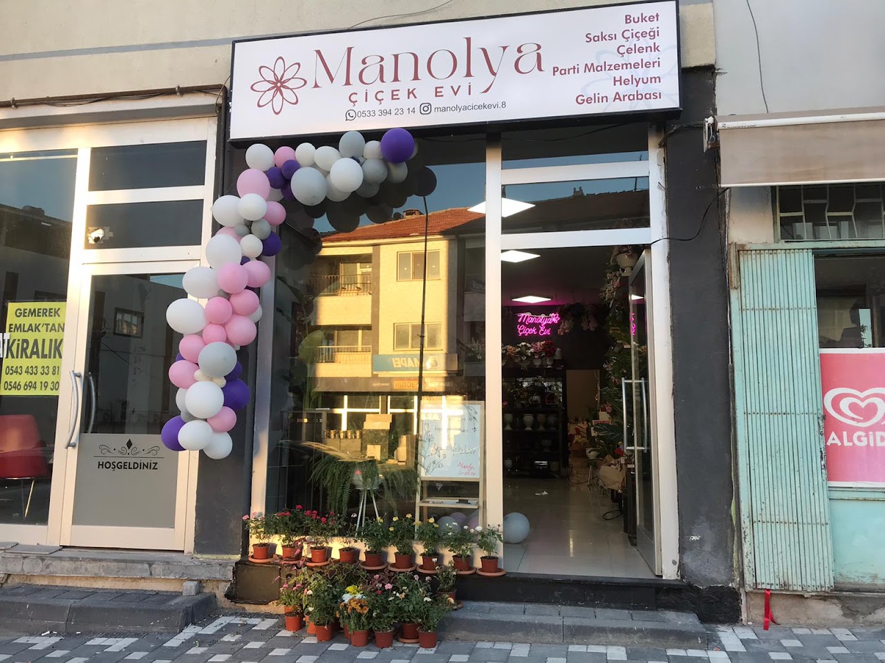 Sivas Gemerek Çiçekçi Manolya Çiçek Evi