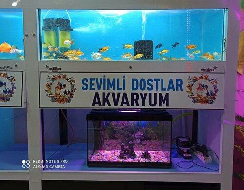 Sevimli Dostlar Petshop & Akvaryum ve Kuş Dünyası