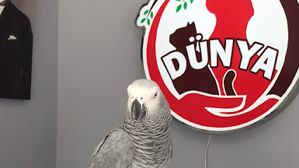 Dünya Veteriner Kliniği Çorlu