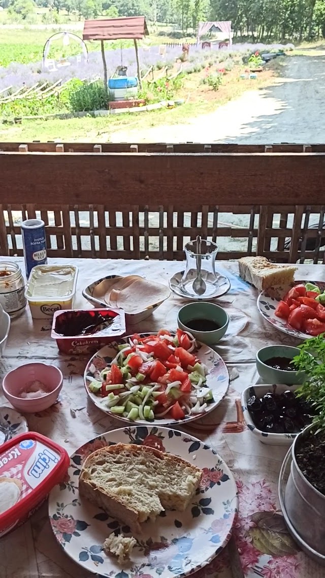 Lavantalı Bahçenin Ürünleri, Sefaalan