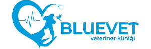 Bluevet Veteriner Kliniği