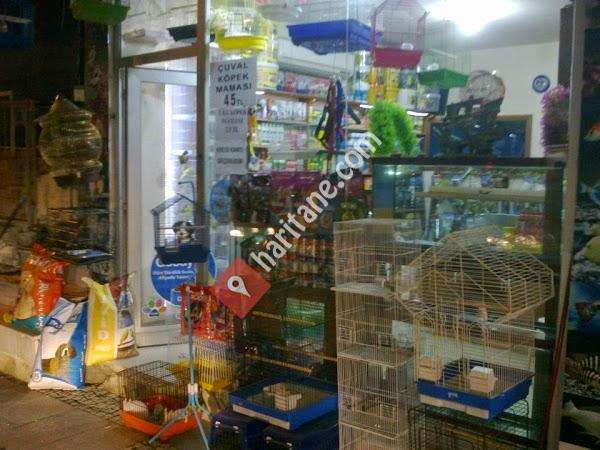 İnci Petshop Tekirdağ