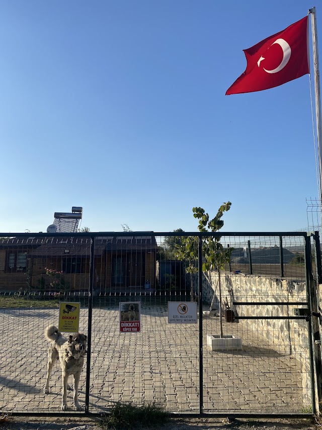 Kayacanlar Bağ Evi, Naipköy