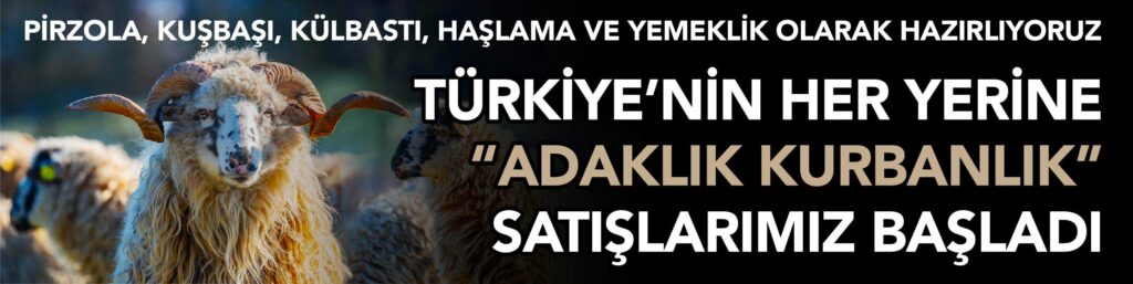 Efe kasap