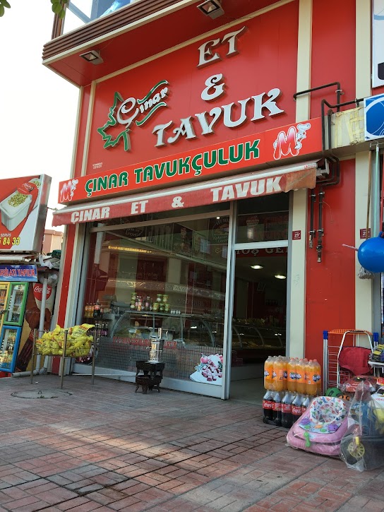 Çınar tavukçuluk