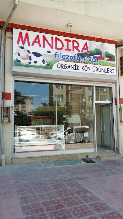 Mandıra Filozofum Van
