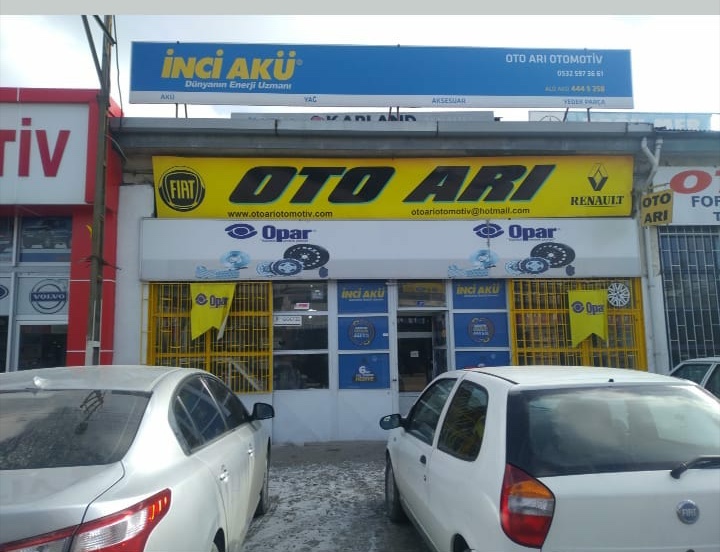 Oto Arı