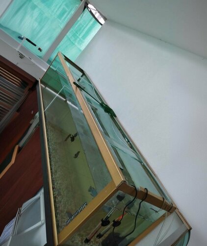Ares Petshop