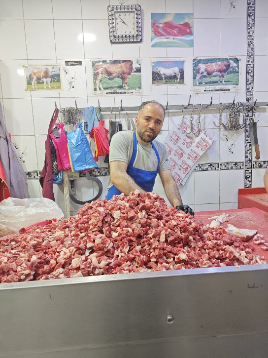Akdağmadeni Kasap Şahinler